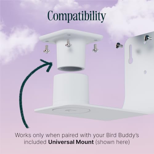 Birdbuddy Wall Mount for Bird Feeders, Walls & Fences, Weatherproof