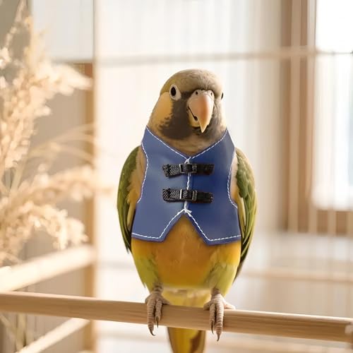 Bird Clothes, Parrot Leather Jacket, Cute Bird Costume Cosplay Photo Prop, Parrot Apparel for Eclectus, Budgerigar, African Greys Parakeet, Conure, Cockatiel, Love Birds-Cowboy Style,Blue,S - color: Blue, size: Small