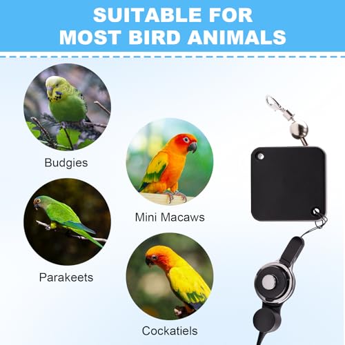 Bird Leash, with 5 Different Size Foot Ring and Feeder Box, Retractable Anti-Bite Parrot Harness, Bird Flight Training Rope for Budgies,Cockatiels,Psittacula Longicauda,Mini Macaws (6.5Ft) - size: 6.5FT