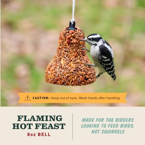 Mr. Bird Flaming Hot Feast Spicy Bird Seed Bell, 2-Pack | Premium Blend of Mealworms, Peanuts & Hot Pepper | Squirrel Repellent Bird Seed | Handcrafted in Texas - size: 1 Count (Pack of 2)