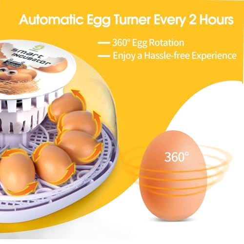 Series I - 12 Egg Incubator for Beginners, Auto Egg Turn, Steady Self-Regulating Humidity & Consistent Temperature Control for Hatching Chicken, Goose, Duck, Quail, Pigeon, and Turkeys - size: 12-Egg White