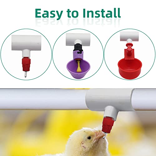 PVC Reducing Tee Fittings for Threaded Nipples Chicken Waterer, 20 | Schedule 40 PVC Piping,1/2" Pipe with 1/8" FPT Thread | No-Drill Install,No Leak|Fits Poultry Nipple Waterer