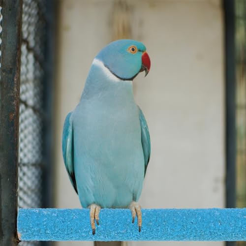 Bird Perches for Cage, 2 PCS Parrot Perch Bird Cage Perch Toy Paw Grinding Stick Cages Wooden Grinding Claw Sticks Sanded Surface Cages Toy for Parakeets Finches Parakeet Toys Birdcage Accessories - color: Blue, Green