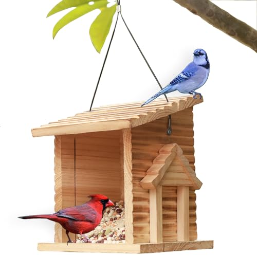 Bird Feeder for Outdoor,Outside Hanging Bird Feeder Mealworms Feeder Squirrel Proof, Bluebird House Feeder with Clear Acrylic Window - Perfect Bird Feeders for Outside