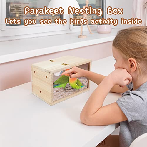 Parakeet Nesting Box,Transparent Cockatiel Nesting House(M) | Detachable Wooden Pine Bird Nest,Breeding box for Parrot, Lovebirds, Budgie, Conure, and Other Small Birds - size: M