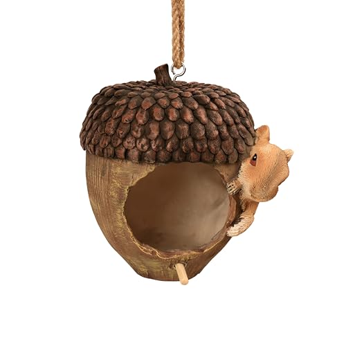 Acorn Bird House for Outside, Hand-Painted Resin Hanging Birdhouse with Squirrel, Weather-Resistant Decorative Bird House for Garden, Patio, Yard & Porch - style: Acorn