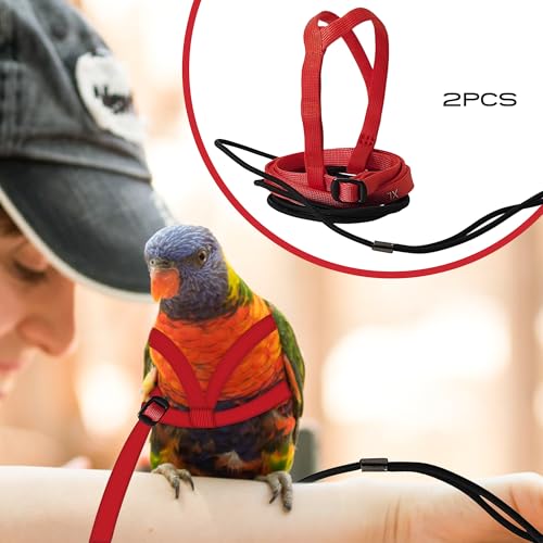2 pcs Pet Parrot Bird Harness and Leash, Adjustable Training Design Anti-Bite, Outdoor Flying Training Rope Kit for Bird Parrots Fits Birds Chest Between24-51cm /9.45-20inch - M (red - color: red, size: Small to Medium