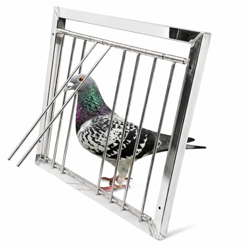 304 Stainless Steel Pigeon Trap Door Loft Bob Wire 11.8" x 9.8" | Heavy-Duty Welded Construction, One-Way Gravity Entry, Smooth Gate Action, Controlled Access Design, Return Flight Training - size: 11.8 x 9.8 In