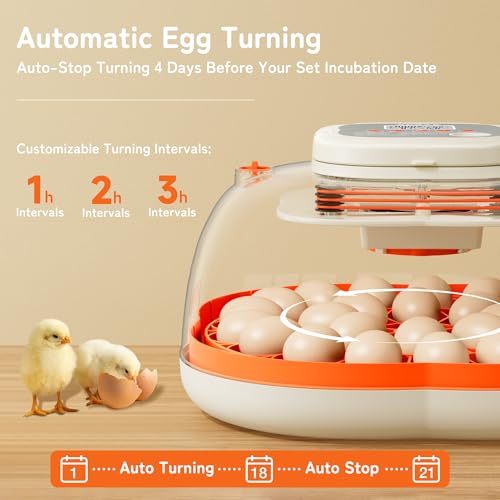 APDOE Egg Incubators for Hatching Eggs, Temperature and Humidity Control, Automatic Egg Turning, Egg Candler, External Water Bottle, Air Vent, for Chicken, Duck & Quail Eggs, 25 Eggs - color: Orange, size: 25 Eggs