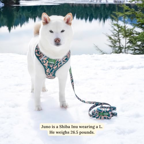 Lucy & Co. x Parks Project Geyser Dog Leash, Durable Matching Dog Lead with Heavy Duty Hardware, Large - color: Geyser, size: Large