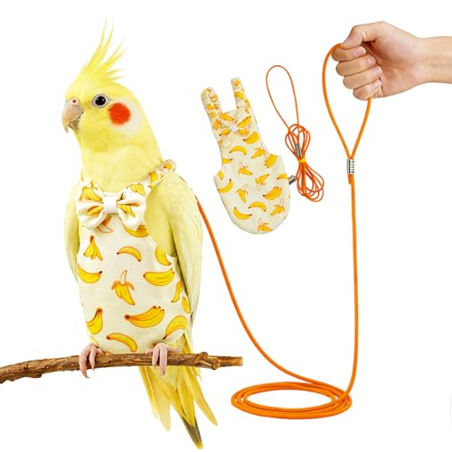Bird Diaper and Leash Set with Harness | Cockatiel/Sun Conure/Quaker Parrot Diaper Leash, Medium Bird Flight Suit Set for Outdoor Flying & Training (M)