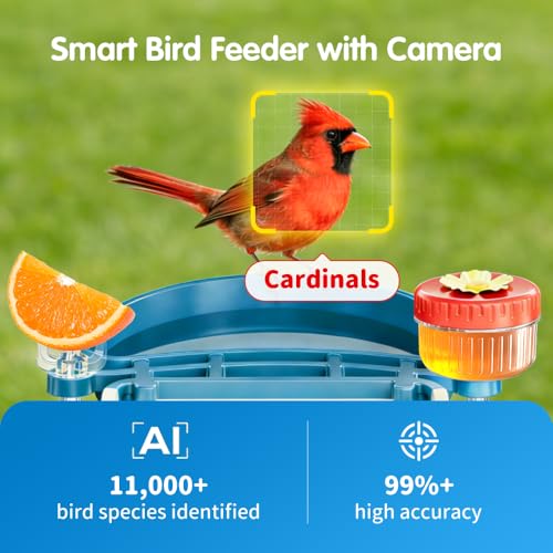 Bird Feeder with Camera, 4K UHD AI Video Bird Feeder Camera, Solar Powered Smart Bird Feeder with Camera for Outside, Instant Arrival Alerts, 3-in-1 Design, Ideal Gifts for Bird Lovers, Blue - color: Blue