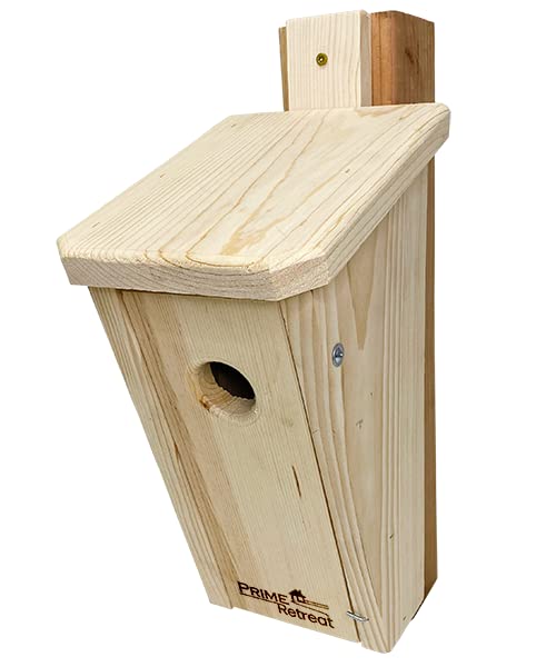 Slant-Front Bluebird House by Prime Retreat