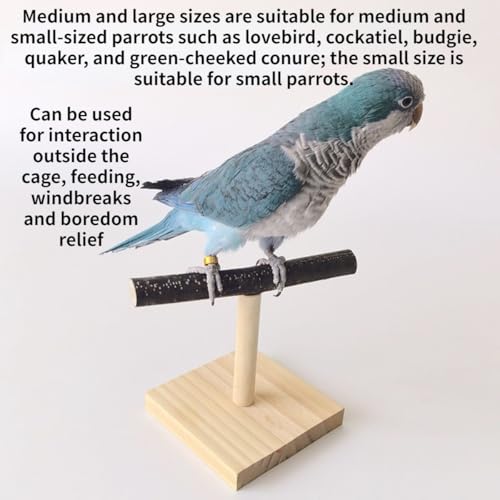 Bird Perch Stand, Bird Training Portable Tabletop Platform, Parrot Cage Toy Gym Accessories for Parakeets Cockatiels, Conures, Macaws, Finches Lovebirds