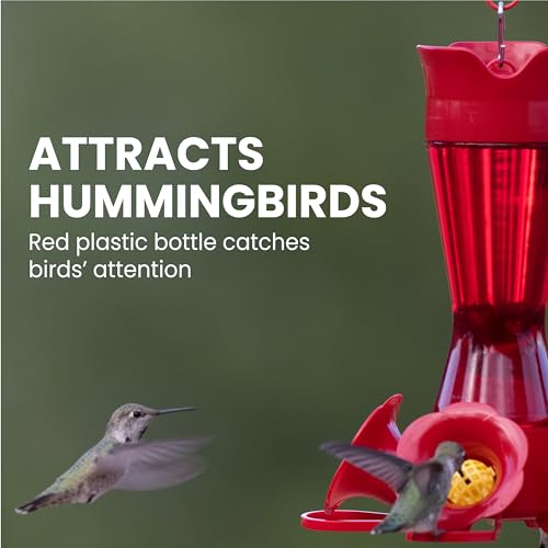 Perky-Pet Red Pinch-Waist Plastic Hummingbird Feeder, 8 oz Capacity | Built-in Bee Guards and Ant Moat for Outdoor Bird Feeding Station and Backyard Wildlife, Hummingbird Feeders for Outdoors - size: No Size