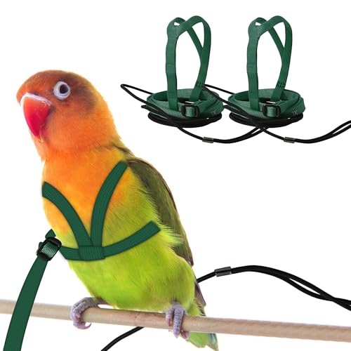 2 pcs Pet Parrot Bird Harness and Leash, Adjustable Training Design Anti-Bite, Outdoor Flying Training Rope Kit for Bird Parrots Fits Birds Chest Between35-62cm /13.78-24.41inch - L (Green - color: green, size: L