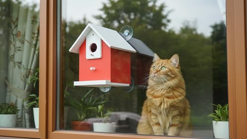Water Proof Window View Bird House for Outside with 2 Powerful Hooks,Vinyl Birdhouse for Viewing Inside, Multifunctional Entrance For Various Birds 1.25" + 1.5" Hole, 10 Years Performance (Red）