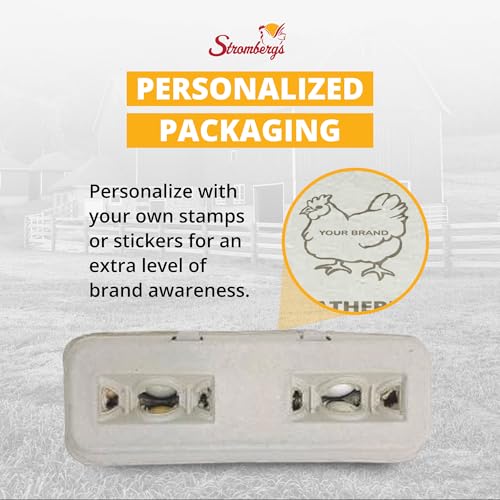 Stromberg's Large Blank Egg Cartons, Bulk Pack for Large Eggs, Perfect for Custom Branding, Safe & Secure Egg Storage, Convenient Stacking for Easy Transport and Storage, 250 Pack
