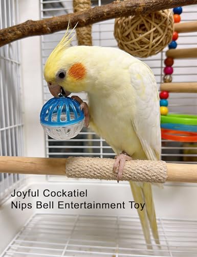 12-Pack Bird Bell Ball Chew Toys, Non-Toxic PP, Cage Enrichment | Relieve Boredom and Stress Behaviors Like Feather Plucking