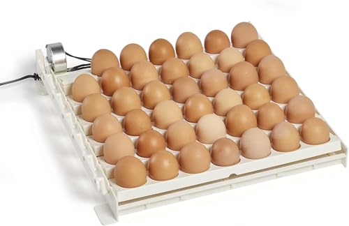 Farm Innovators 3200 Automatic 41 Spot Egg Turner for the Bottom of Incubators to Eliminate Manual Handling and Improve Hatching Rate, White (4 Pack) - size: 4 Pack