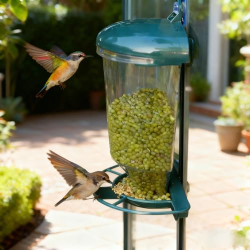 Outdoor Wild Bird Suction Feeder, can be Used for Hanging，with a Large-Capacity 89.8oz Transparent Acrylic Container. It Requires no Batteries and has high Durability