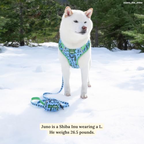 Lucy & Co. x Parks Project Feel the Earth Breath Dog Leash, Durable Matching Dog Lead with Heavy Duty Hardware, Small - color: Feel the Earth Breath, size: Small