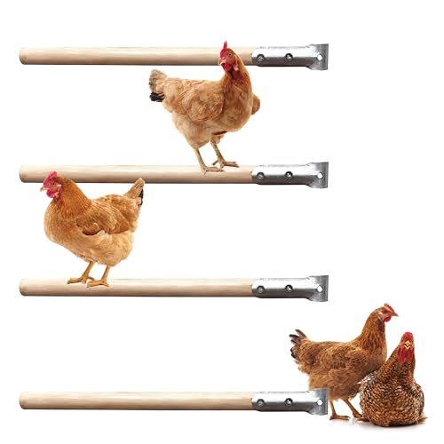 4 pcs Chicken Roosting Bars Single Wooden Pole, Chicken Supplies For Coop,Chicken Coop Simple Accessories,Angle-Adjustable Chicken Coop Toys,Birds Training Platform For Cockatiels Lovebirds And Parrot