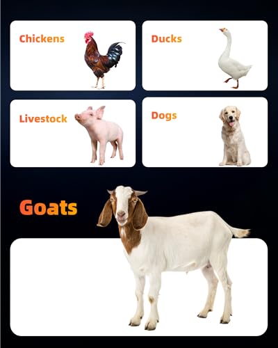 4-Pack 5 Qt Hanging Goat Feeders and Mineral Troughs for Fences | Thick plastic with mounting clips, zip ties and screws; for grain, grit and minerals; suitable for sheep, ducks and chickens - color: 4 Pack