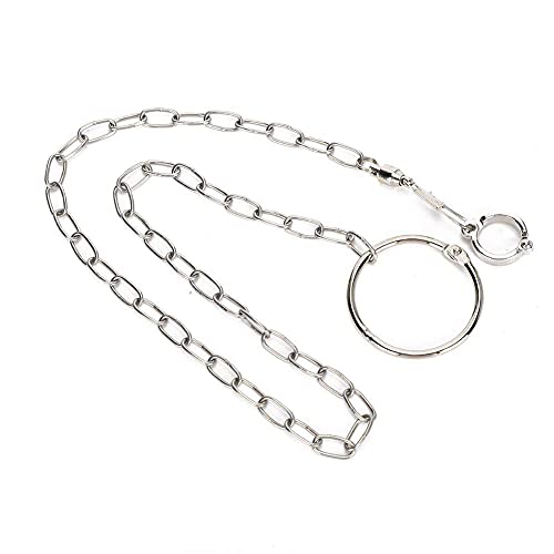 Bird Foot Chain, Pet Bird Leash Parrot Foot Chain Stainless Steel Anti bite Flying Training Anklet Ring Parrot Ankle Foot Ring Accessories