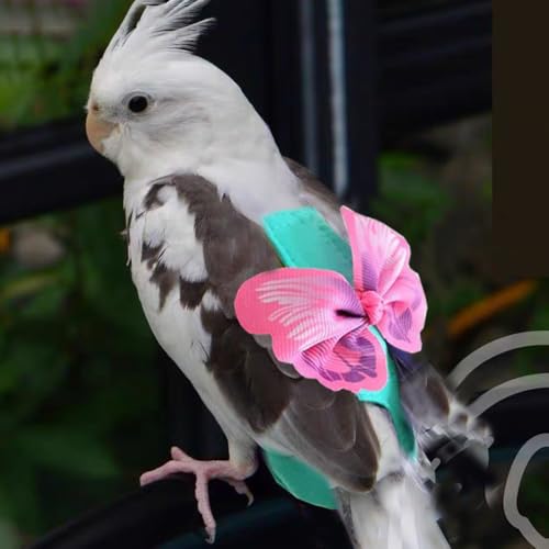 Escape-Proof Parrot Harness & Leash Set with Diaper - Adjustable Flight Suit with Bow & Safety Cord for Conures, African Grey, Parakeets, Doves (Pink-M) - size: Pink bow-M