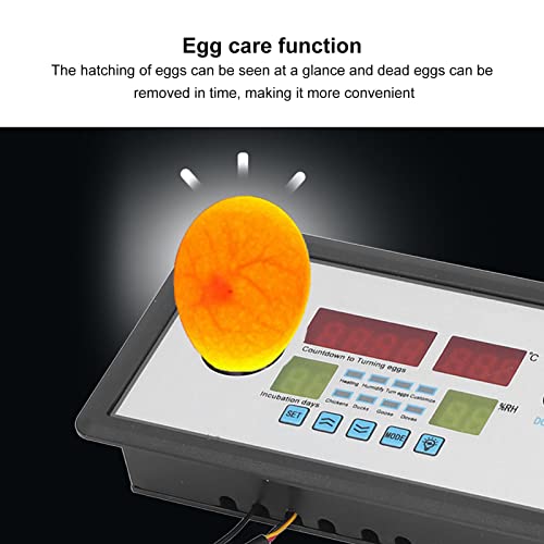 Fdit Intelligent Incubator Thermostat Digital Automatic Incubator Controller Egg Hatcher Temperature Incubator Controller for Various Eggs (12V)