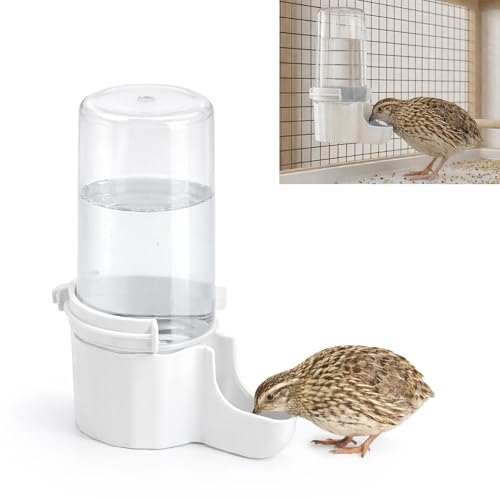 Quail Chick Waterer with Anti-Drowning Shallow Tray, 16.6 fl oz Automatic Gravity Button Quail Waterer, Hanging or Free-Standing Bird Water Dispenser for Wire Mesh Cages and Brooders (White) - color: White