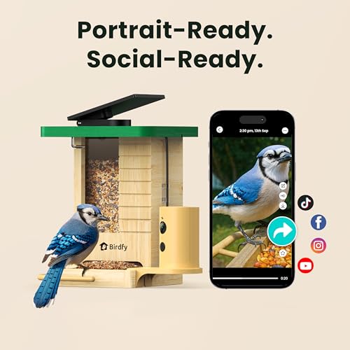 Smart Bird Feeder with Camera Solar Powered, Night Insight & Slow-Motion Video for Outdoors & Backyard Birds Watching, AI Identify 6000+ Species by Subscription, Wood | Fir Wood, Live Stream, Night Insight, 1080P, AI Bird Identify 6000+ Species, Gift for