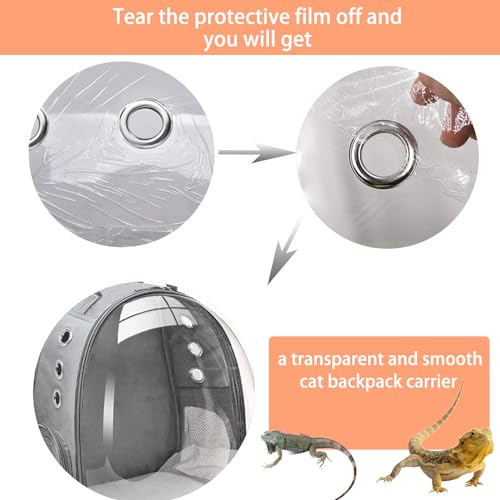 Bearded Dragon Carrier with Harness and Leash Small Pet Carrier | Large Reptile Backpack Bubble Window Portable Small Animal Carrier for Lizard Parrot Bird Rabbit Guinea Pig Travel Walking - color: Bearded Dragon Carrier
