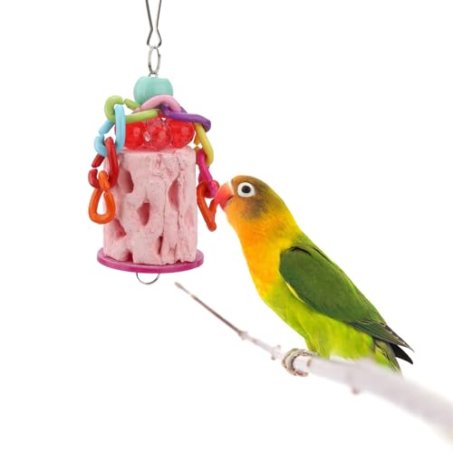 Hypeety Bird Beak Grinding Stone Cage Calcium Mineral Paw Grinding Block | Natural calcium stone, provides calcium and beak care, durable chew-proof, easy-hanging, for parrot/chinchilla/hamster, pink - color: Grinding Stone Pink
