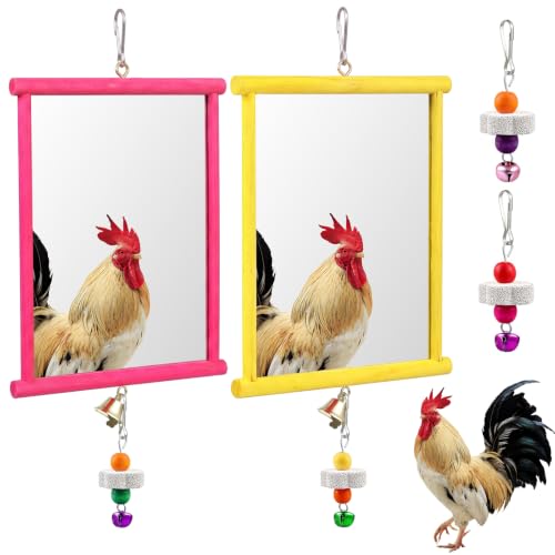 Sumind 2 Pieces Chicken Mirror Toys Hanging Swing Mirror with Bell Wooden Pecking Toy and 4 Pieces Beak Grinding Molar Stones for Hens Birds Parrots (Rose Red,Yellow,9.84 x 10.63 Inches) - color: Rose Red,Yellow, size: 9.84 x 10.63 Inches