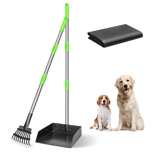 Larger Dog Pooper Scooper for Large Dogs Long Handle Stainless Metal | Tray and Rake Set for Large Medium Small Dogs Heavy Duty (Green) (Extra Large) - size: 2. Rake & Large Tray