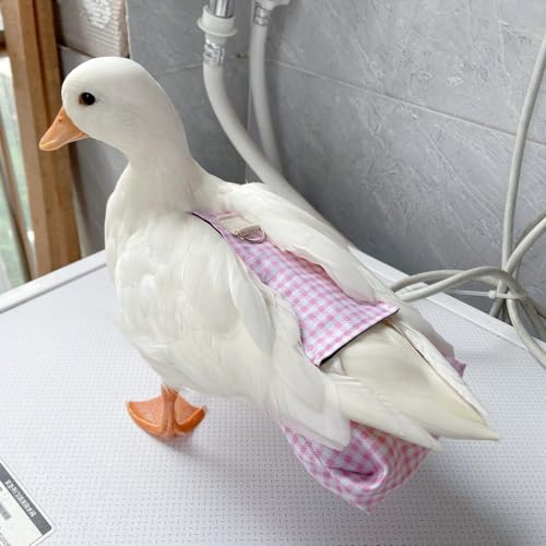 Duck Diapers, Chicken Diapers, Special Diapers for Poultry, Chicken, Duck and Goose Waterproof, Adjustable, Washable and Reusable Diapers，Poultry Supplies, Duck Supplies (0.99LB-1.32LB)