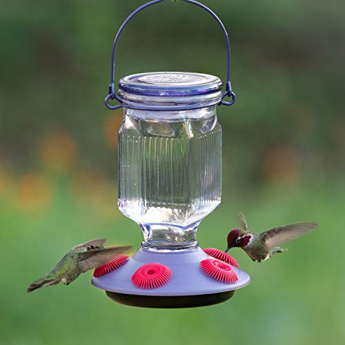 Perky-Pet 9101-2 Lavender Field Top-Fill Glass Hummingbird Feeder Purple 16 oz Capacity - color: Purple