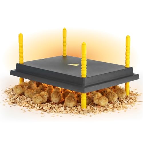 Hatching Time Warmzy 16"x22" Chick Heating Plate – Safe 40W Chicken Coop Heater for 50–55 Chicks with Adjustable Legs | Gentle Low-Heat Brooder Plate for Chicks, Durable Fire-Resistant Chicken Heater - size: 16" x 22" for 50–55 Chicks