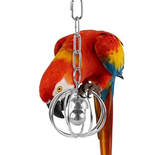 DBNESS Heavy-Duty Stainless Steel Bird Toy for Parrots, Durable Hollow Foraging Ball with Detachable Chain, Chew-Proof Parakeet Training Toys for Macaws, Amazons, Eclectus, African Greys, Cockatoos