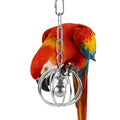 DBNESS Heavy-Duty Stainless Steel Bird Toy for Parrots, Durable Hollow Foraging Ball with Detachable Chain, Chew-Proof Parakeet Training Toys for Macaws, Amazons, Eclectus, African Greys, Cockatoos