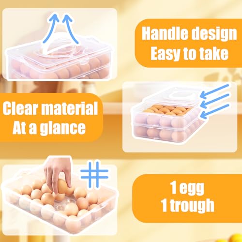 2-Layer Deviled Egg Carrier with Lid,Deviled Egg Trays with Handle,Stack Portable Stackable Trays,Clear Devil Egg Cotainer 48 eggs Holders, for Thanksgiving Day, Easter, Holiday,Parties and Kitchen - style: 2 layer 48eggs