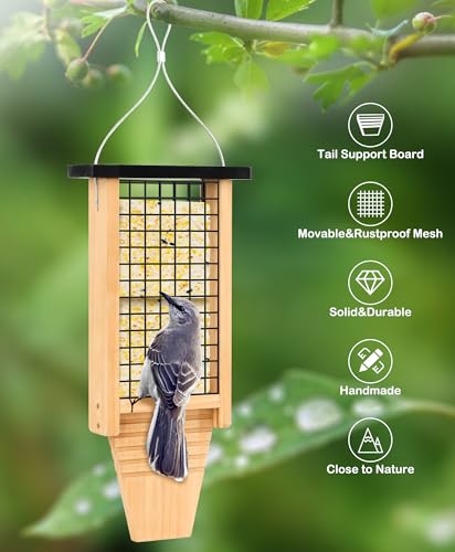 Gbekery Wooden Suet Bird Feeder for Outside Hanging, Large Woodpecker Suet Feeder with Tail Prop, Double Suet Cakes Hanging Bird Feeder for Wild Birds, 1 Pack, Black - color: Black Double Capacity