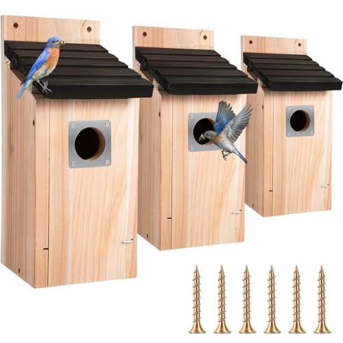 Dreyoo 3 Pack Bluebird Box Houses for Outside,1-1/2'' Entrance Hole Wooden Bird Houses with Metal Guard, Secure Latch,Fledgling Grooves,Air Vents for Bluebird Wren Swallow (Black Roof,Wood Body) - color: Black Roof, Wood Body