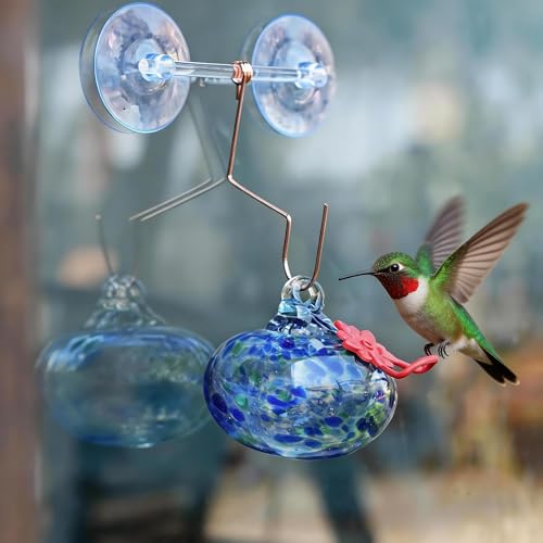 Glass Window Hummingbird Feeder with Suction Cup for Close Bird Watching - color: 1Pcs-Blue