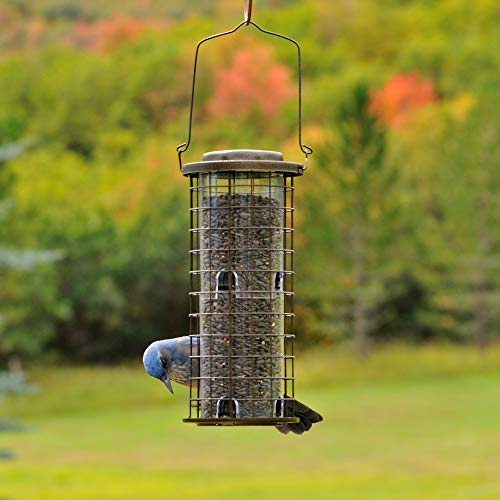 Perky-Pet 114 Squirrel Stumper Wild Bird Feeder