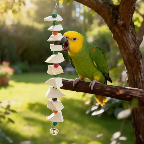 Bird Toys with Cuttlebone, Grinding Stone for Bird, 3 Pcs | Prevents Destructive Chewing, White, Colorful