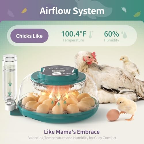 Automatic Egg Hatcher with LED Screen, Large Egg Incubator with Adjustable Turning & Humidity System, Transparent Lid Incubator for Chicken, Quail and Poultry Eggs (Holds 18 Eggs)