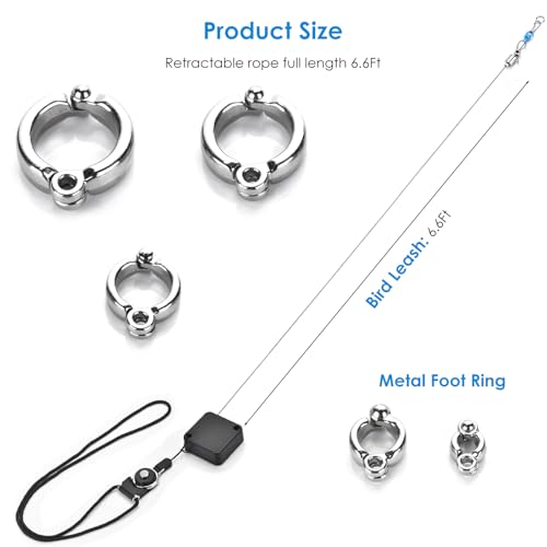 6.6Ft Bird Leash, with 13 Different Size Foot Ring Retractable Anti-Bite Parrot Harness, Bird Flight Training Rope for Budgies,Cockatiels,Psittacula Longicauda,Mini Macaws （Silver Ankle Bracelet） - color: Silver ankle bracelet